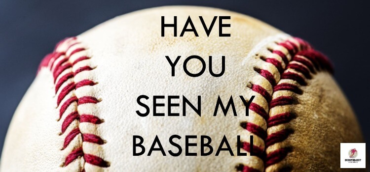 Have You Seen My Baseball