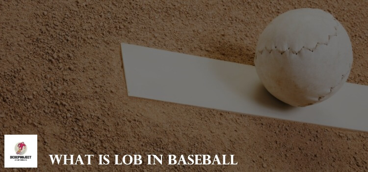 What is Lob in Baseball