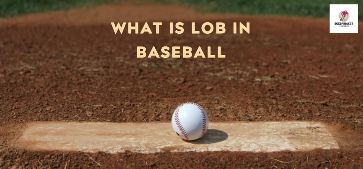 What is Lob in Baseball
